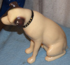 a second thumbnail of Plaster Victor dog Nipper for sale